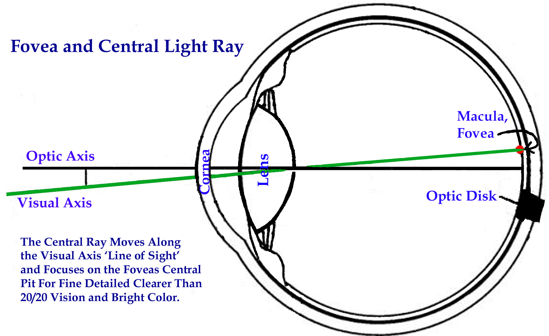 Visual Axis, Central Ray