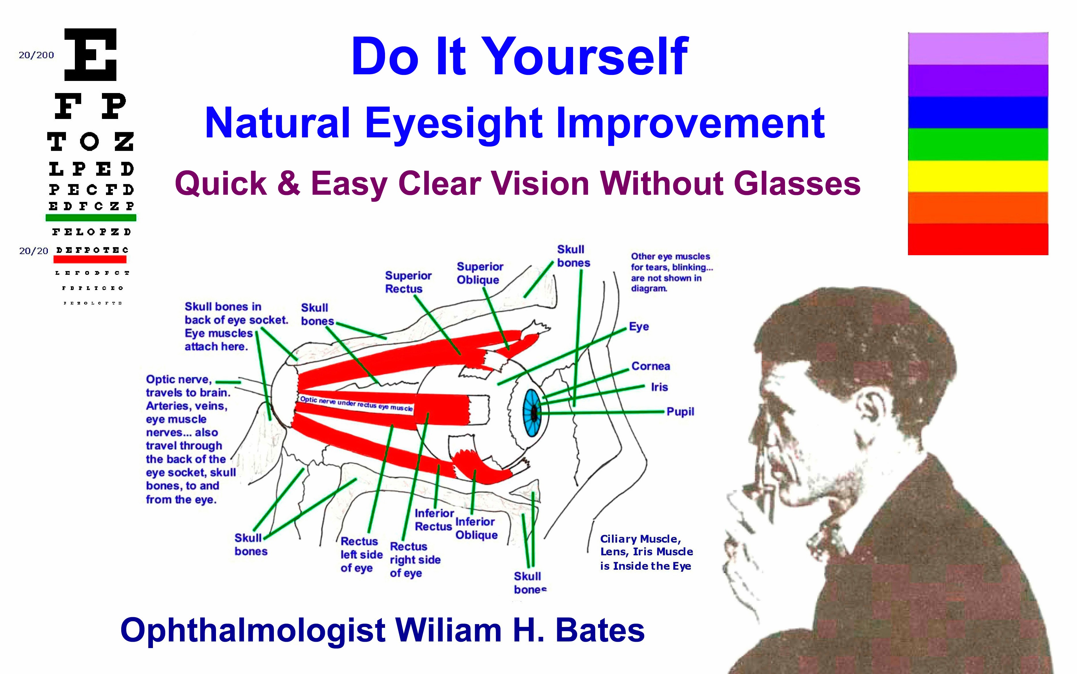 Ophthalmologist Bates Inspecting the Refraction of Light Rays in the Eye