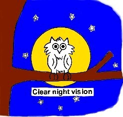 Clear Night Vision. Mr Owl says; 'Who Sees Best in the Dark?"  The Eyes Fovea, Macula When There is a Source of Light. 